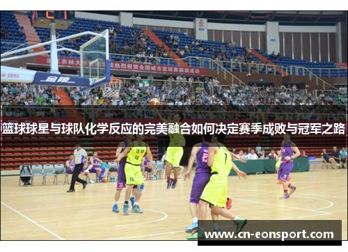 篮球球星与球队化学反应的完美融合如何决定赛季成败与冠军之路
