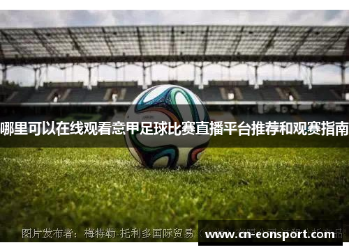 哪里可以在线观看意甲足球比赛直播平台推荐和观赛指南